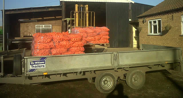 Agricultural trailer loaded with orange mesh bags of carrots