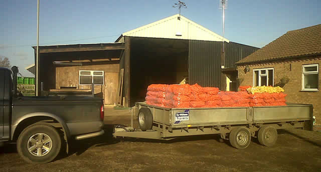 Farm truck loaded with mesh bags of parsnips